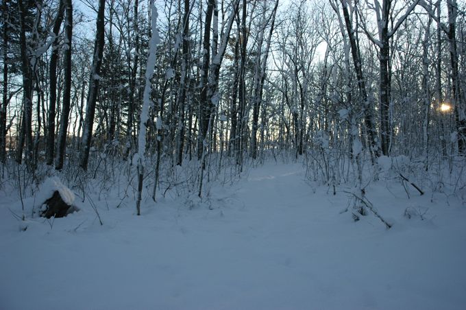 Jan 24 Snow at Home