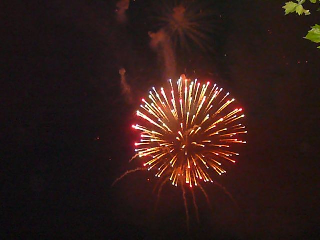7-3 Allegan Fest